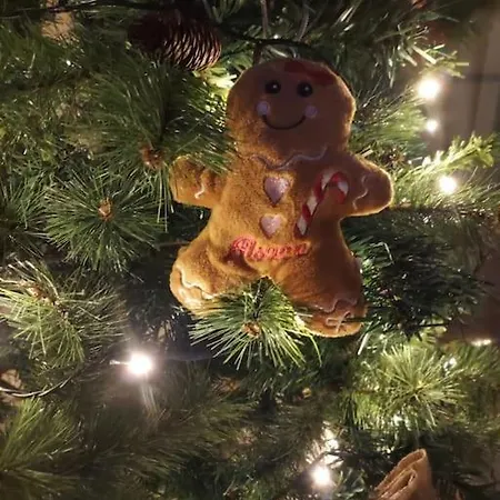 Chez Rozenn Et Mewen Apartman *